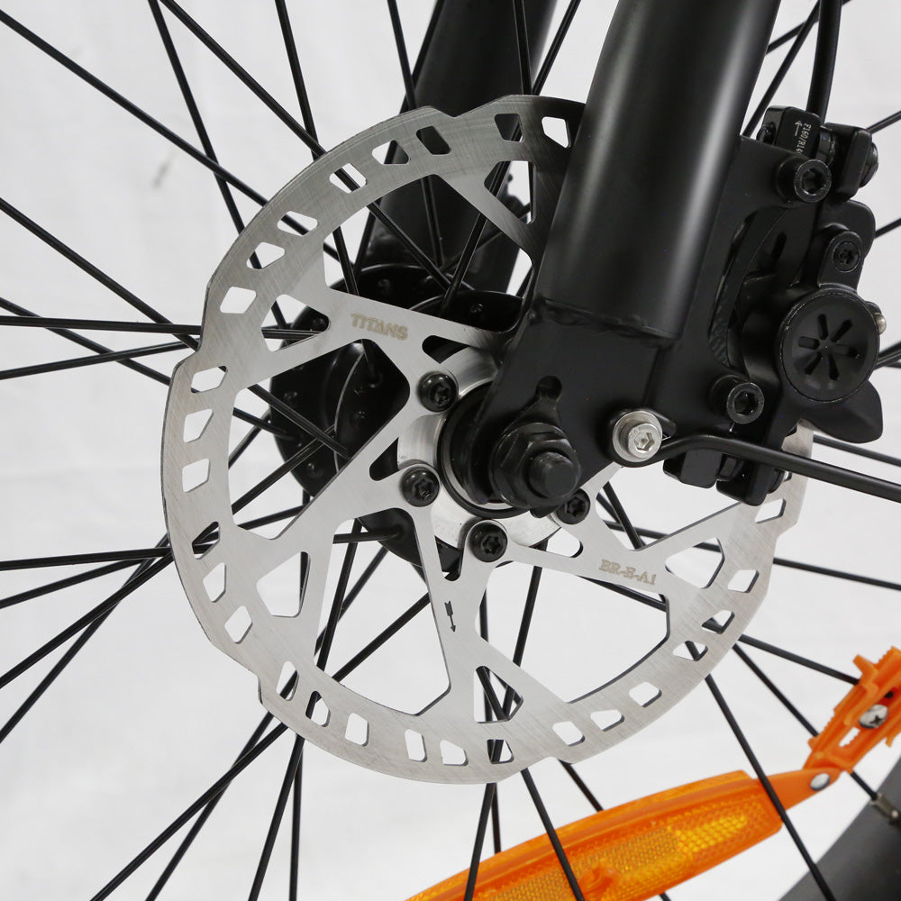 Lamtier K750 Cargo electric bike