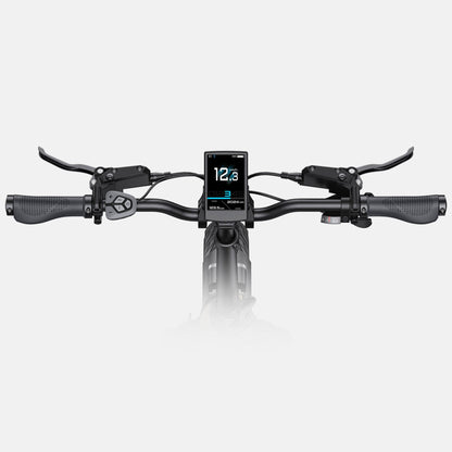 ENGWE L20 3.0 PRO