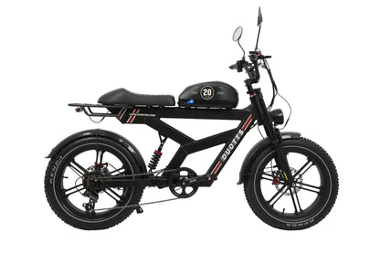 DUOTTS F20 Electric Bike