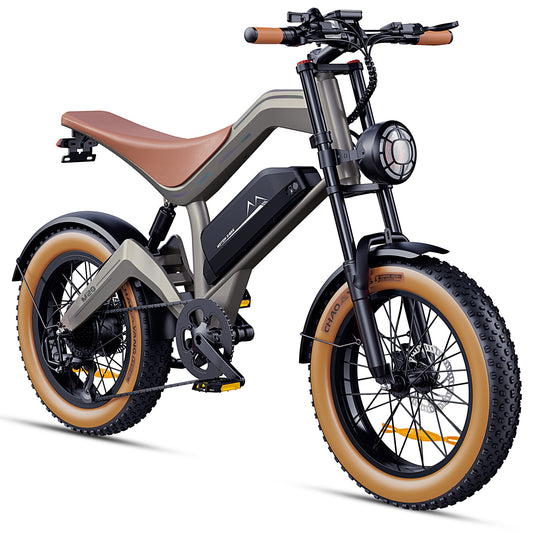 LAMTIER M20 electric bicycle