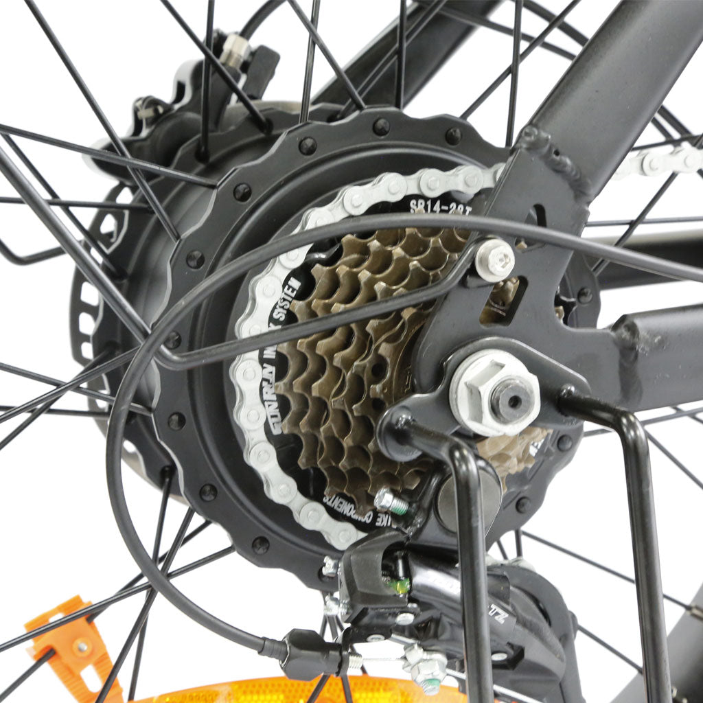 Lamtier K750 Cargo electric bike