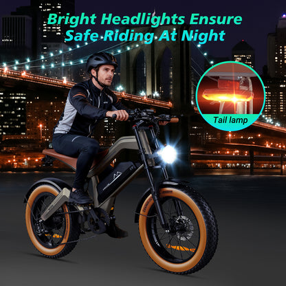 LAMTIER M20 electric bicycle