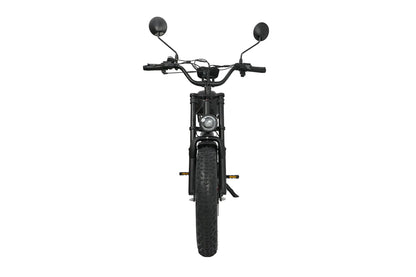 DUOTTS F20 Electric Bike