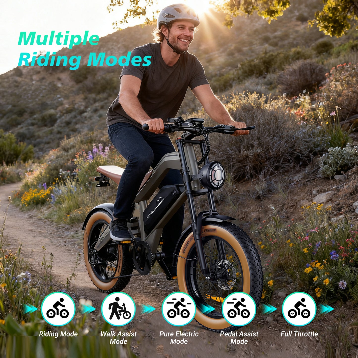 LAMTIER M20 electric bicycle