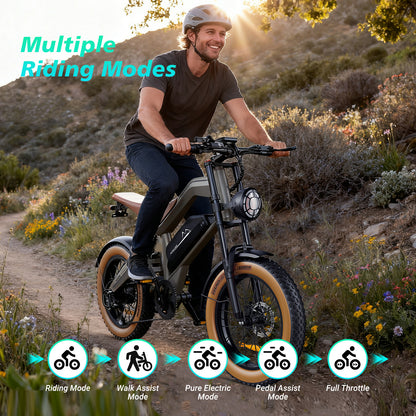 LAMTIER M20 electric bicycle