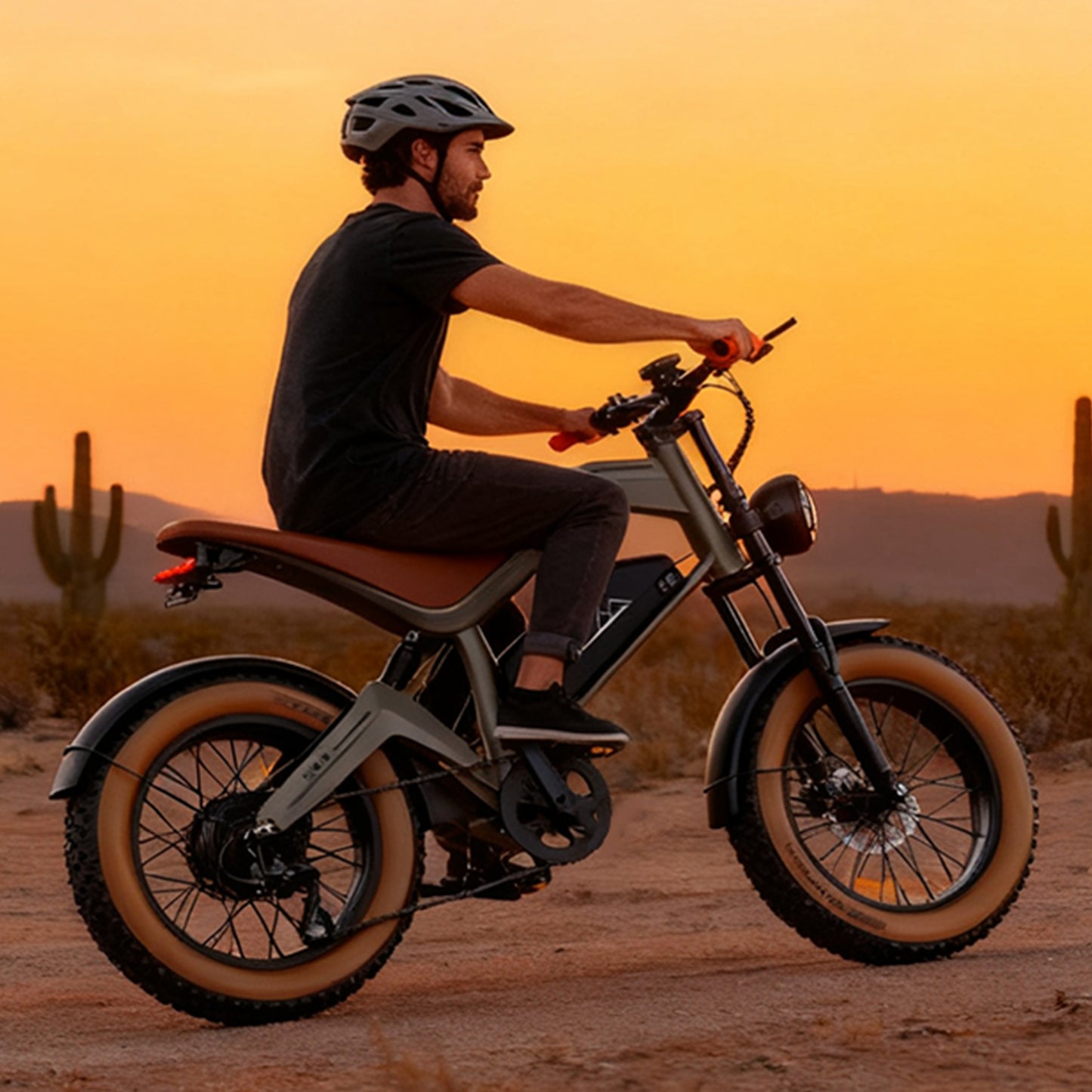 LAMTIER M20 electric bicycle