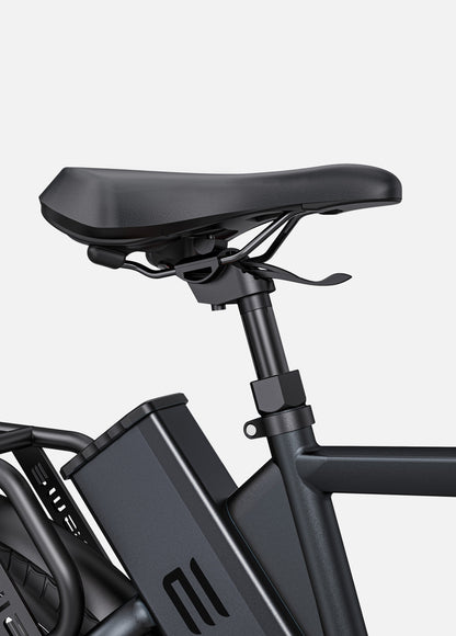 ENGWE P275 PRO