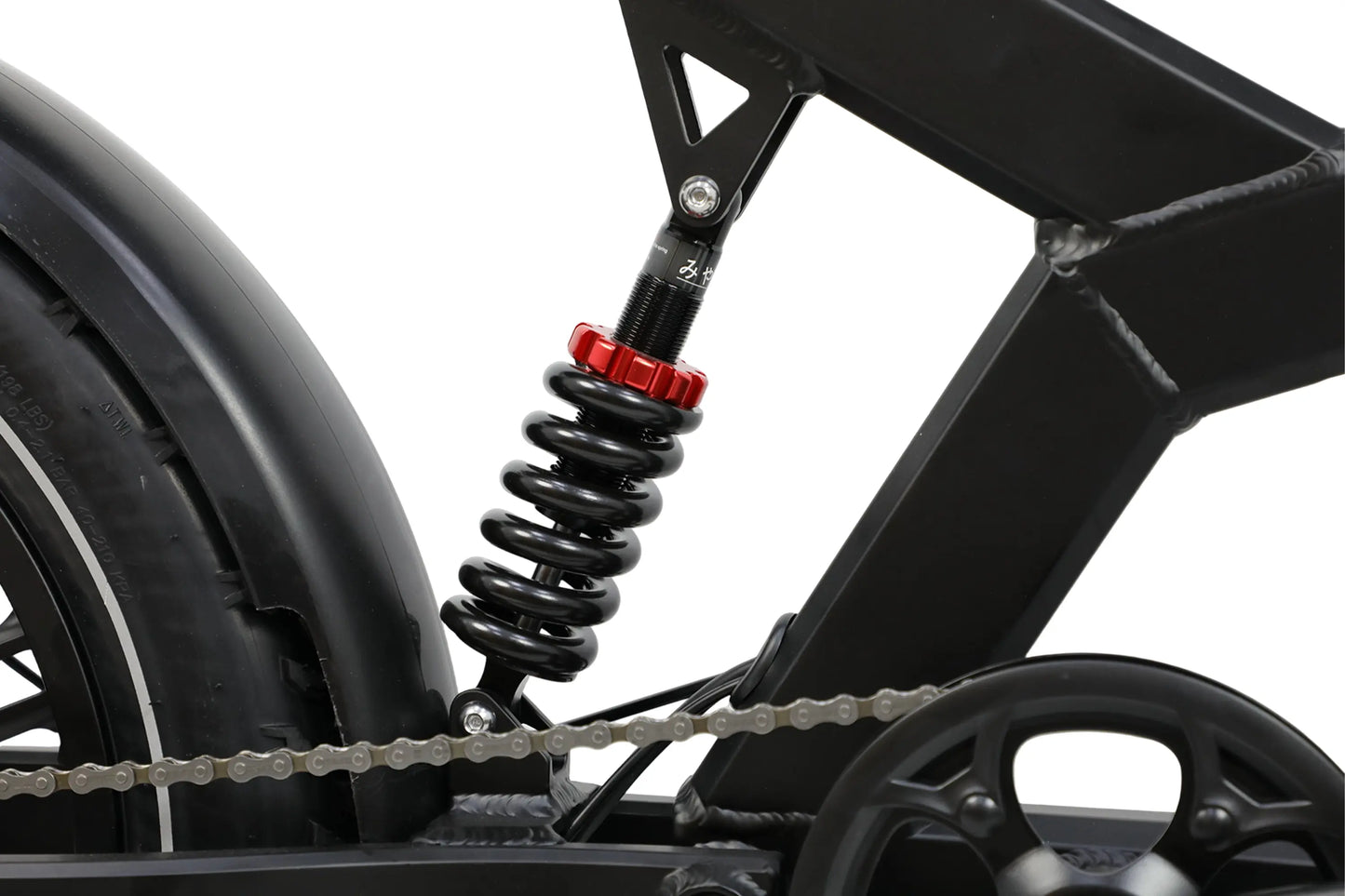 DUOTTS F20 Electric Bike