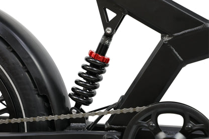 DUOTTS F20 Electric Bike