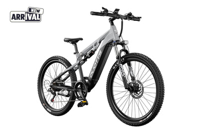 DUOTTS E29 Electric Bike