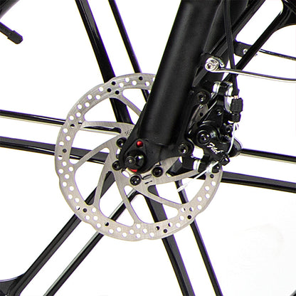 SAMEBIKE 20LVXD30-II