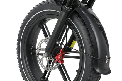 DUOTTS F20 Electric Bike
