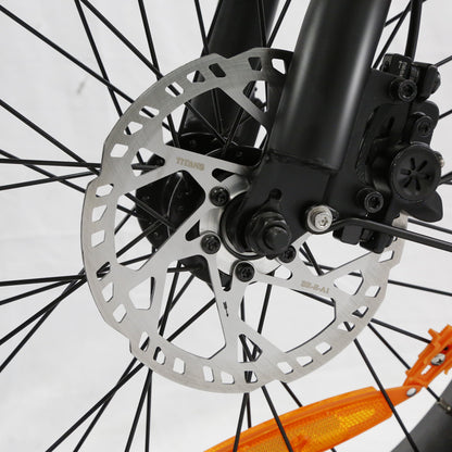 Lamtier K750 Cargo electric bike