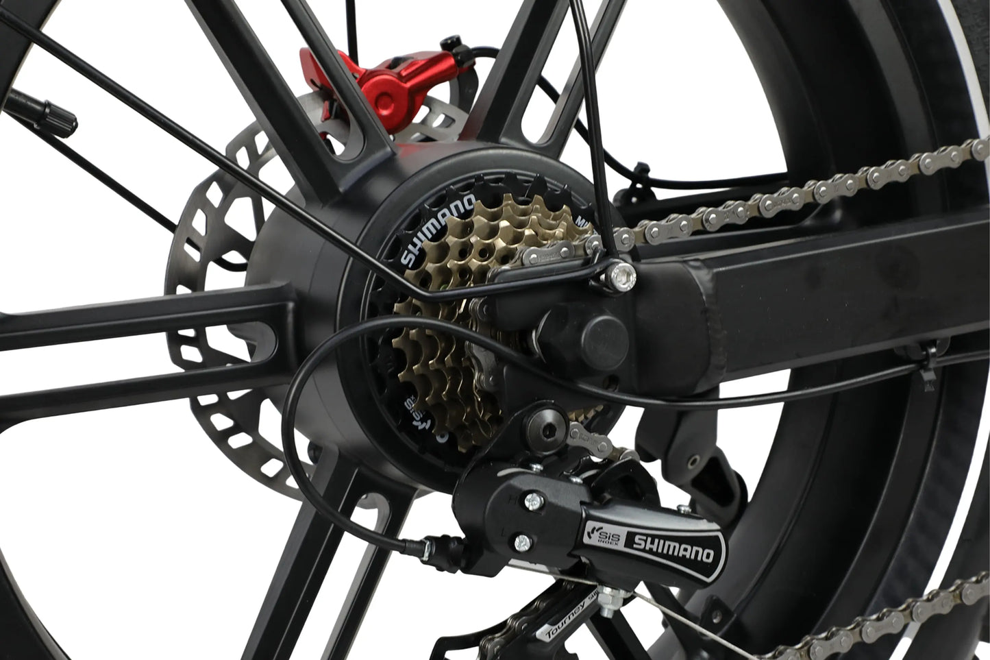 DUOTTS F20 Electric Bike