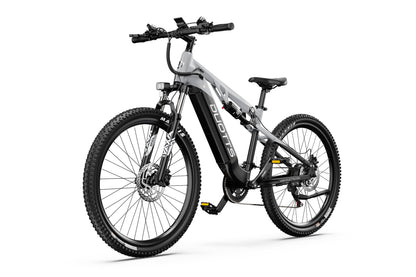 DUOTTS E29 Electric Bike