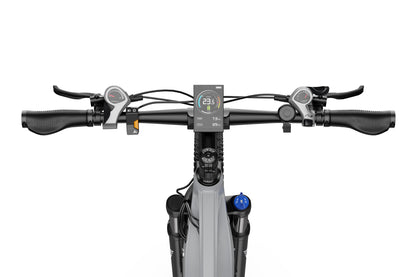 DUOTTS E29 Electric Bike
