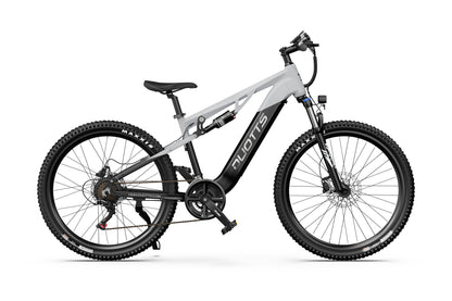 DUOTTS E29 Electric Bike