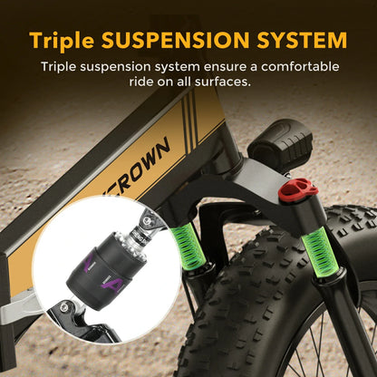 CYCROWN Knight 20 Folding Electric Bike 750W Peak Motor 48V 12.5Ah Battery