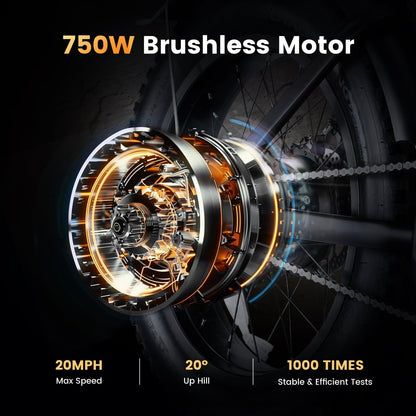 CYCROWN Run 20 Retro Fat Tire Off Road Mountain Electric Bike 750W Motor 36V 10.4Ah Battery