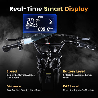 CYCROWN Run 20 Retro Fat Tire Off Road Mountain Electric Bike 750W Motor 36V 10.4Ah Battery