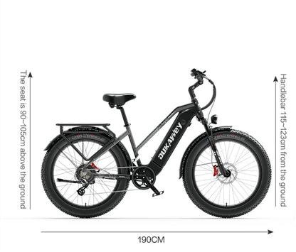 Dukawey DM530 Plus 1000W All Terrain Electric Bike