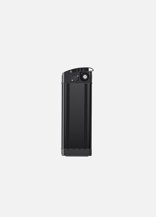 Engwe 10Ah Battery