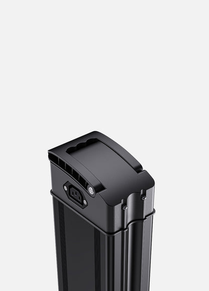 Engwe 10Ah Battery