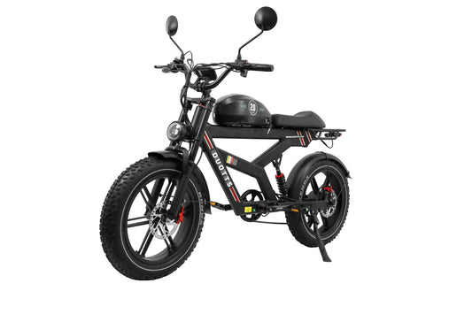 DUOTTS F20 Electric Bike