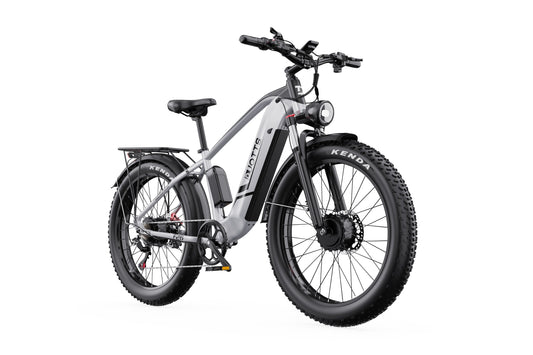 DUOTTS F26 Electric Bike