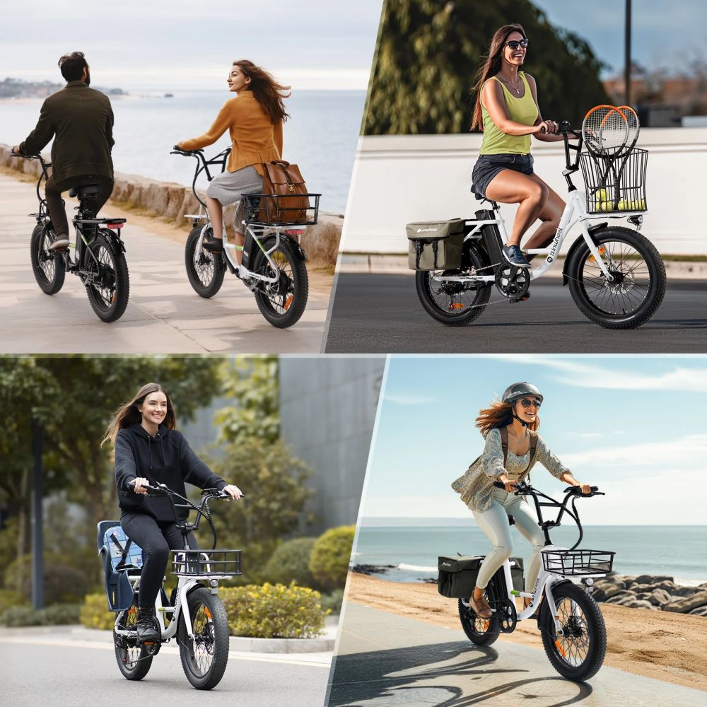 ISINWHEEL U7 20 Step-Thru Cargo Electric Bike 500W Motor 48V 10.4Ah Battery