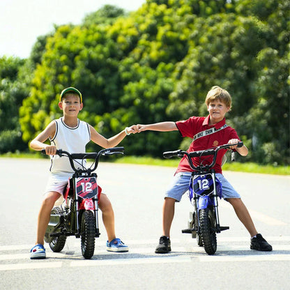 ISINWHEEL A12 12 Electric Dirt Motorbike For Kids 350W Motor 36V 5.2Ah Battery