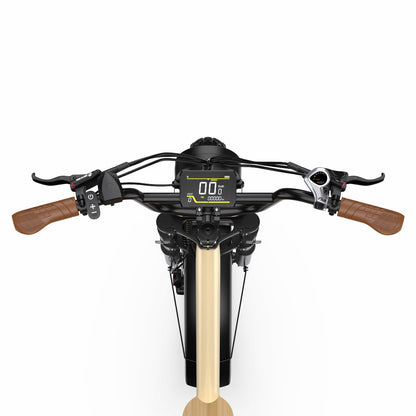 Onesport W77 Fat Tire E-Bike